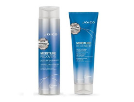 Joico Moisture Recovery Duo Kit